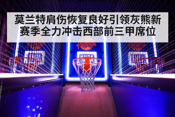 莫兰特肩伤恢复良好引领灰熊新赛季全力冲击西部前三甲席位
