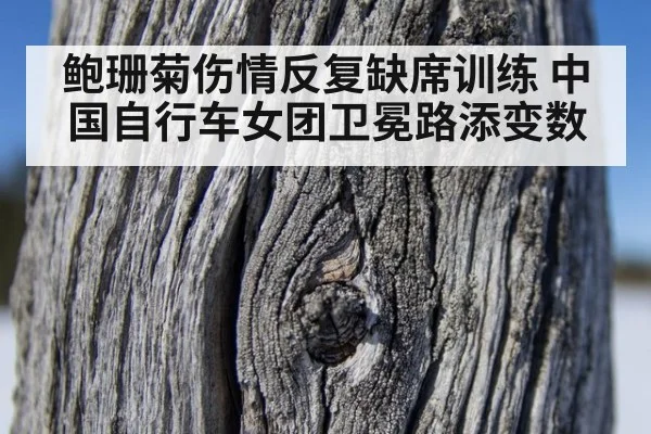鲍珊菊伤情反复缺席训练 中国自行车女团卫冕路添变数
